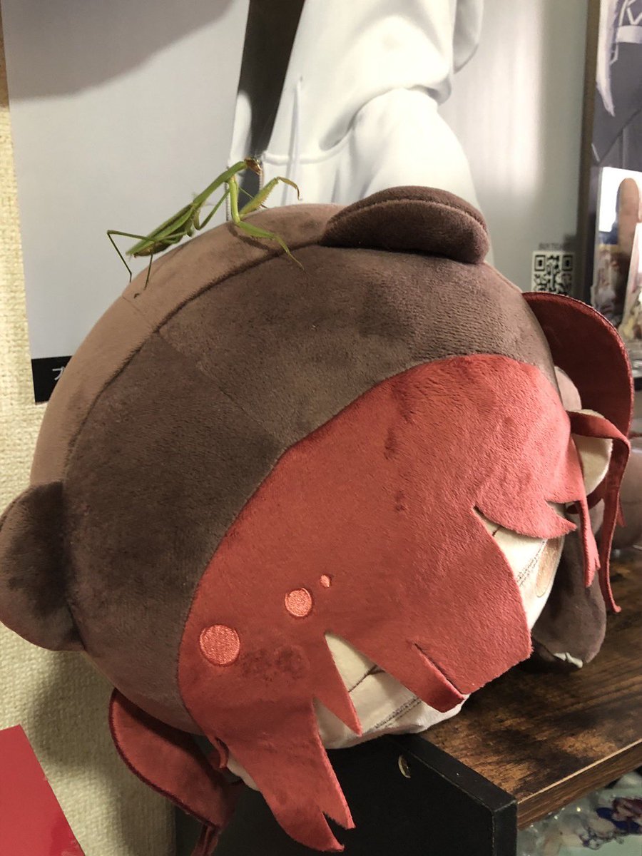 クマリンちゃんの頭の上で
凶器ぶんぶん振り回してるカマキリちゃん！ほどほどにしないとクマリンちゃんからの反撃来るじょ！！