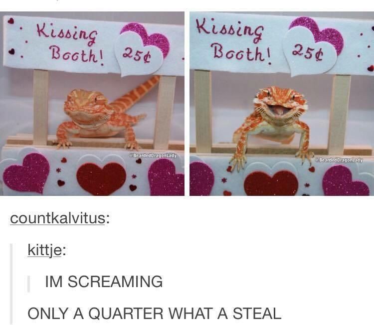 WholesomeMemes (@wholesomememe) on Twitter photo 