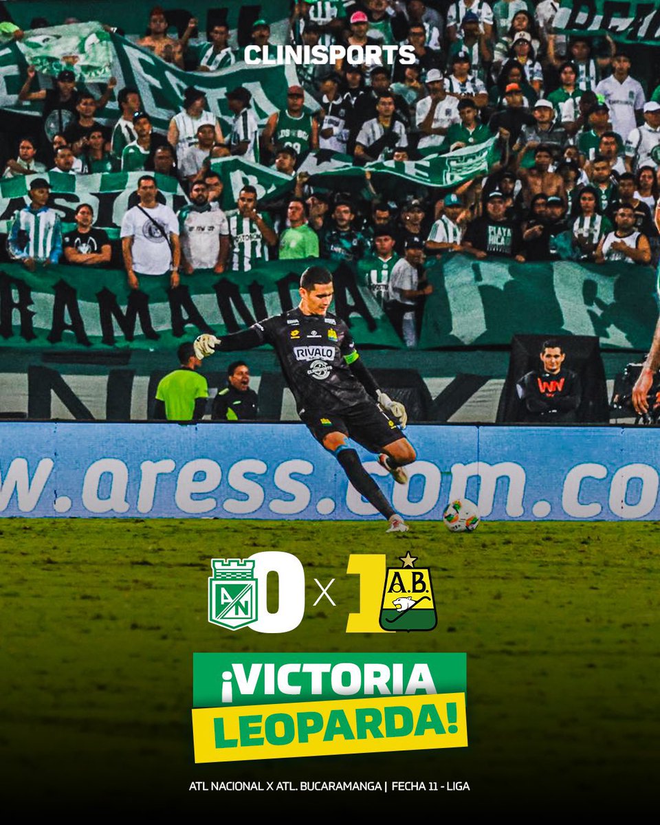 Tatiana Gutiérrez tweet media