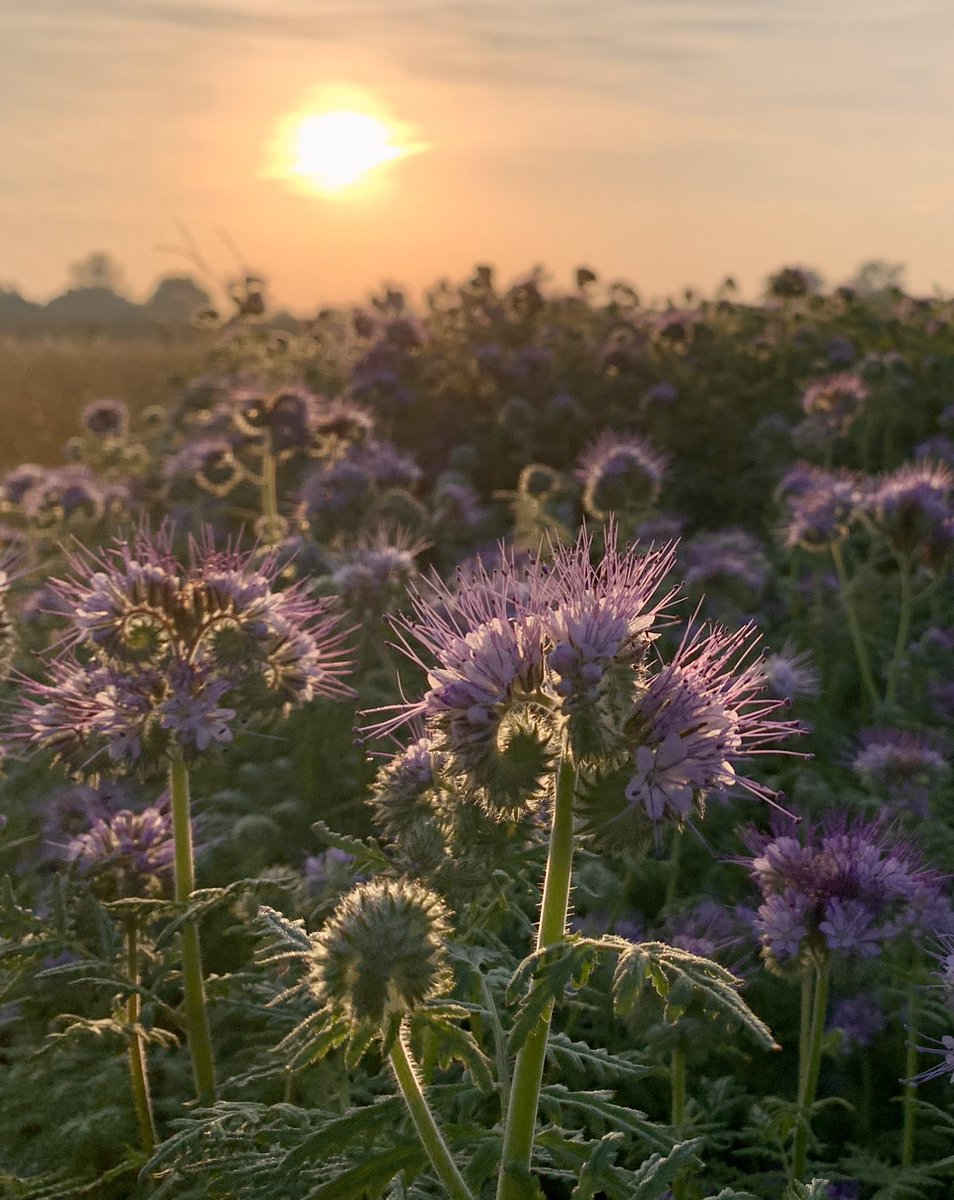 📸 Venhuizen 

#MooiNederland🇳🇱