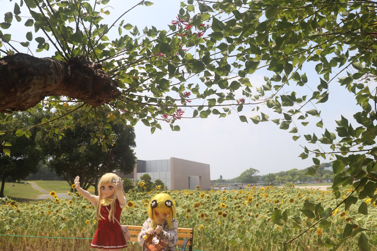 よっこい

しょ！