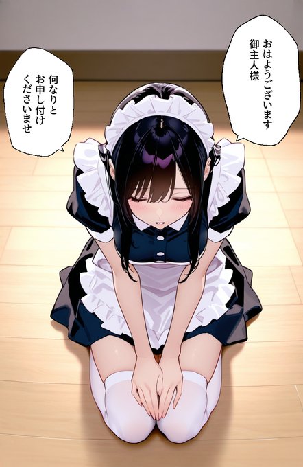 専属秘書より専属メイドが欲しい