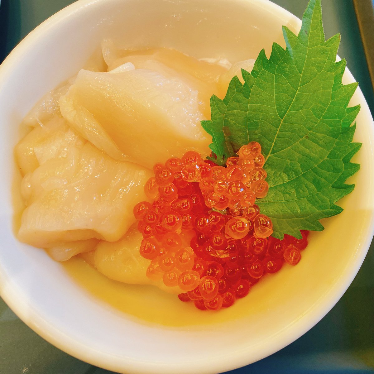 llyluca's tweet photo. 宮田さん誕生日おめでとう♡
朝からホタテ食べて元気にキスマイに会いに行くからー玉森さんと仲良くしてる姿たくさん見せてください！！ https://t.co/mQoJCTTtmV