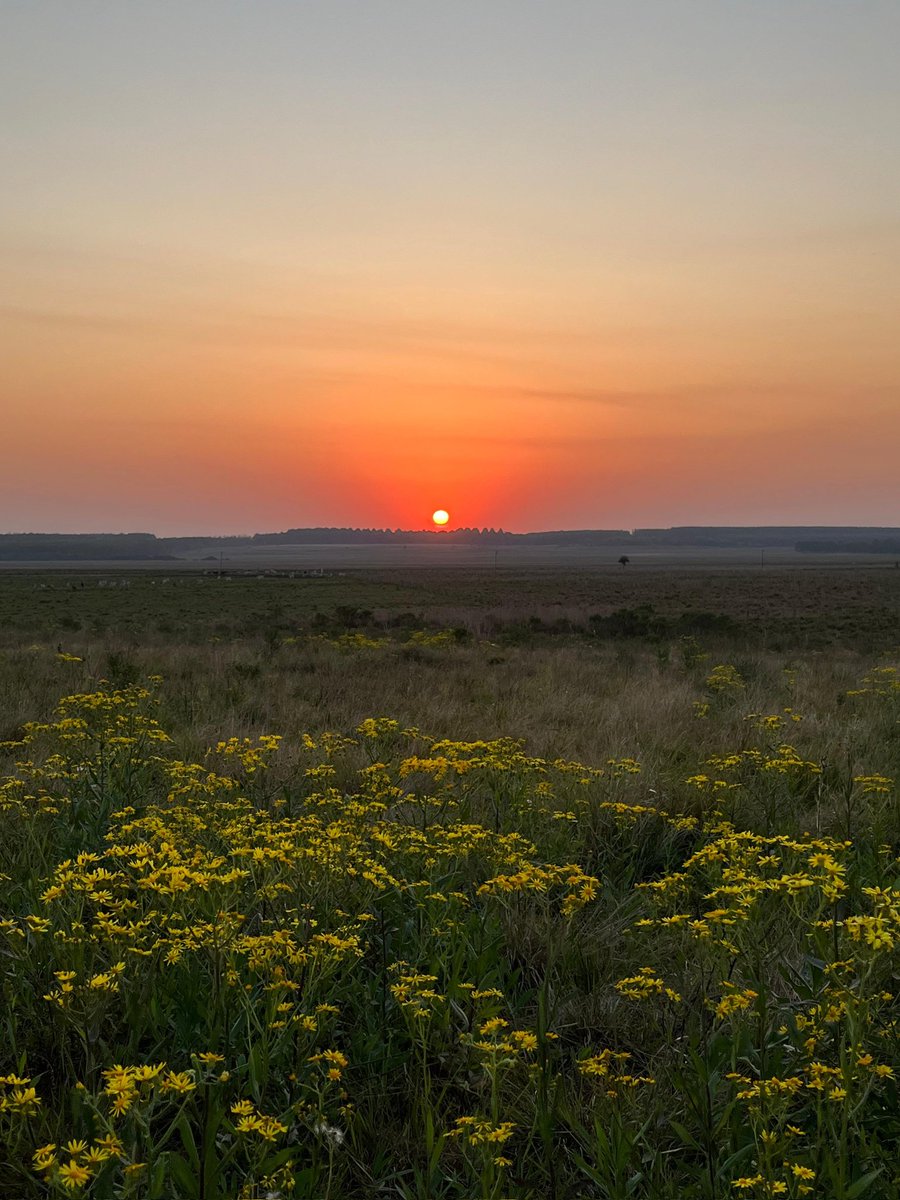 iamlight887's tweet image. Desde Caazapá.🇵🇾❤️🌄