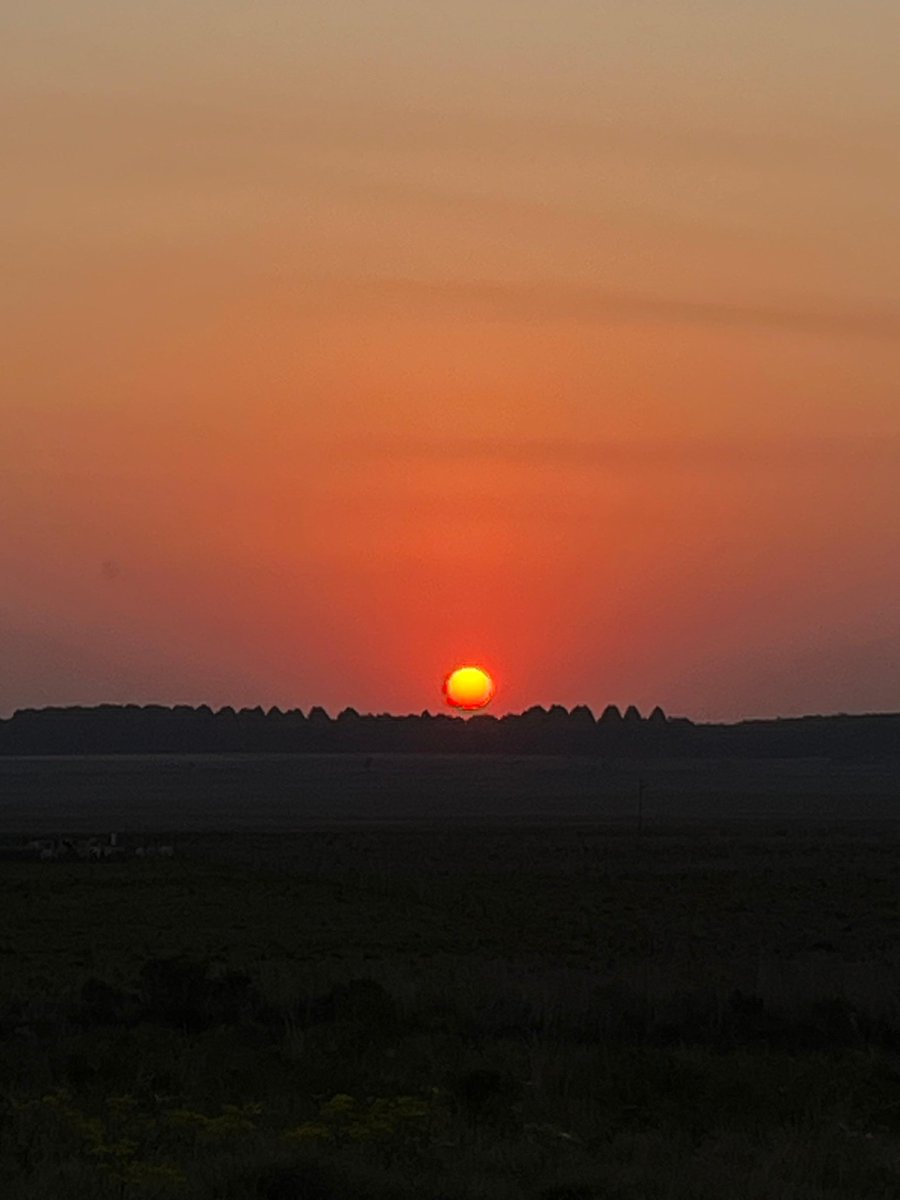 iamlight887's tweet image. Desde Caazapá.🇵🇾❤️🌄