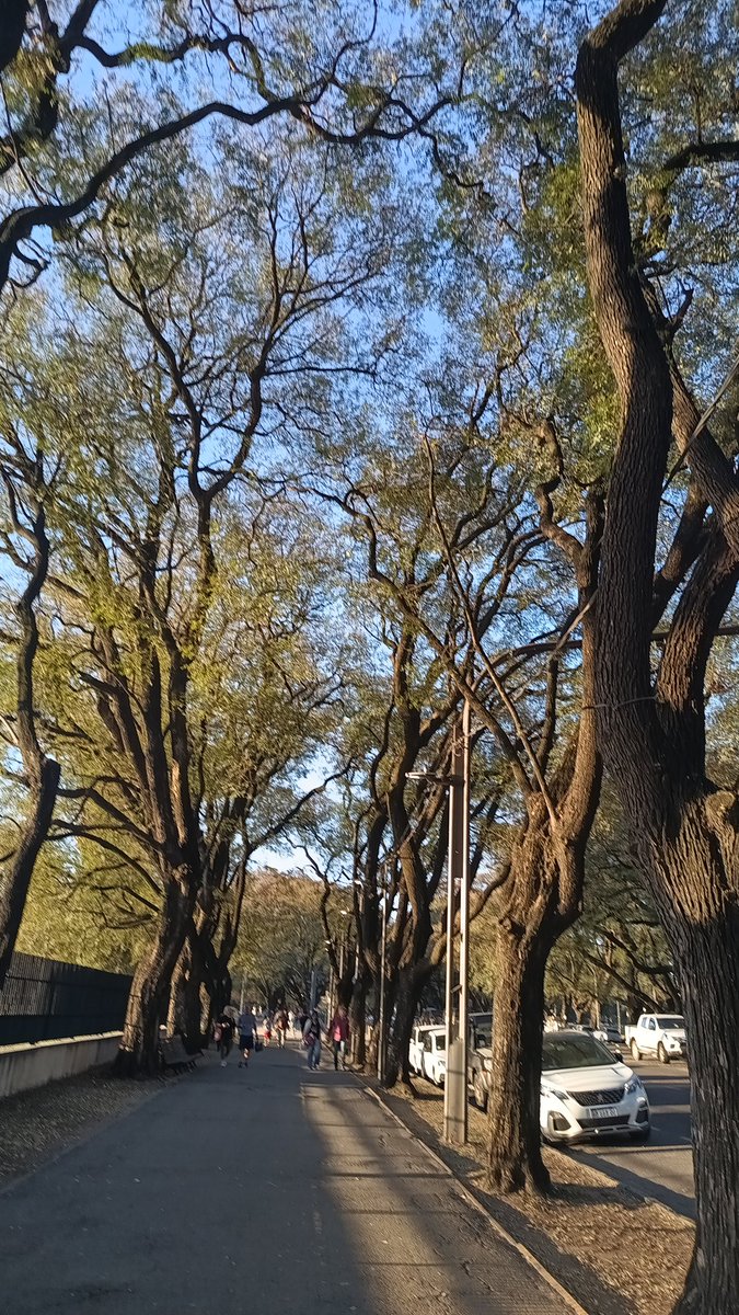 Atentos : el invierno se va y pone pausa al sol. Viento que rota SE deja inestabilidad con ⤵️ parcial de mínimas y máx última parte del domingo y primera parte de lunes. Mejora temporal y vuelven tras el⤴️ de temperatura las 🌧️ sectorizadas desde mitad de semana. Primavera con 🧥