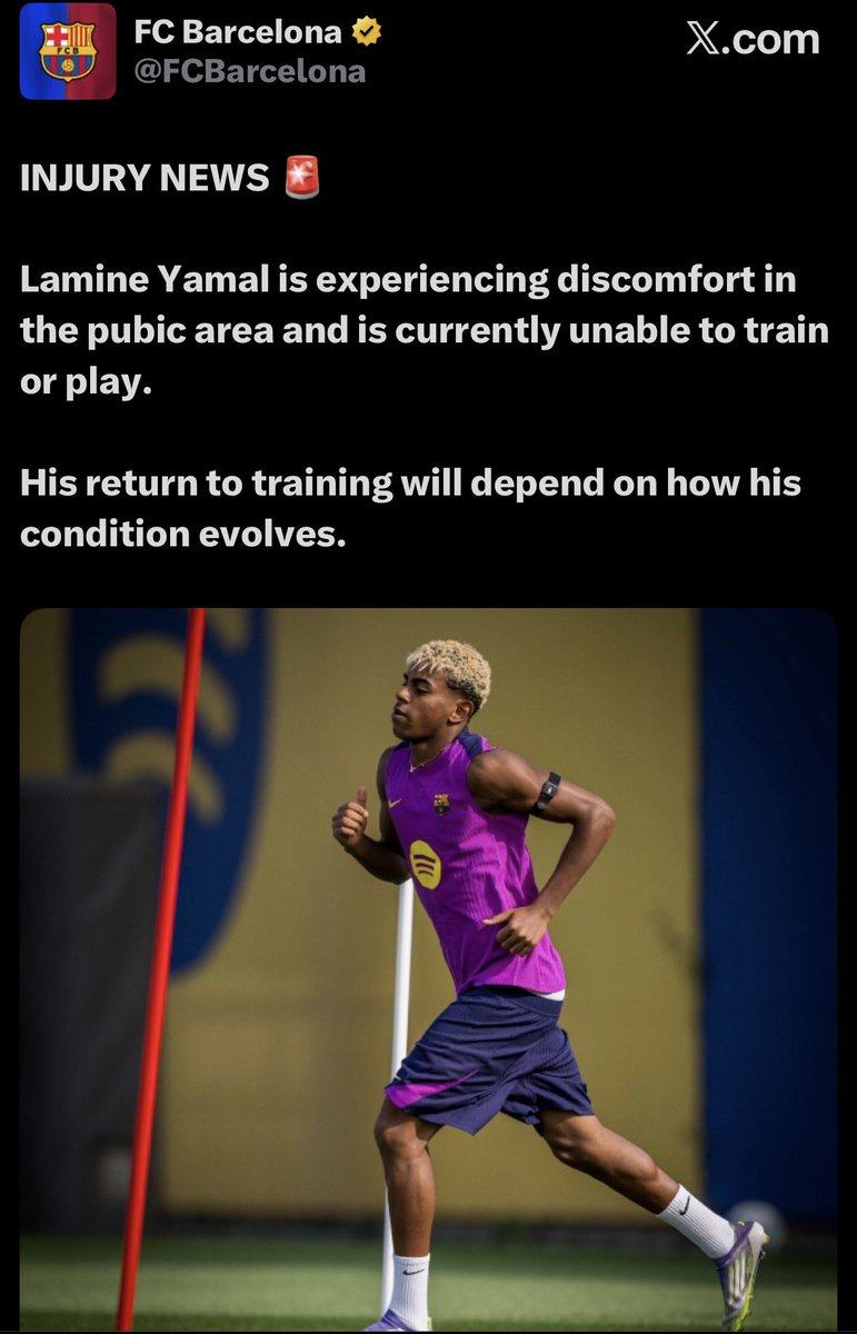 🇪🇸 tweet media