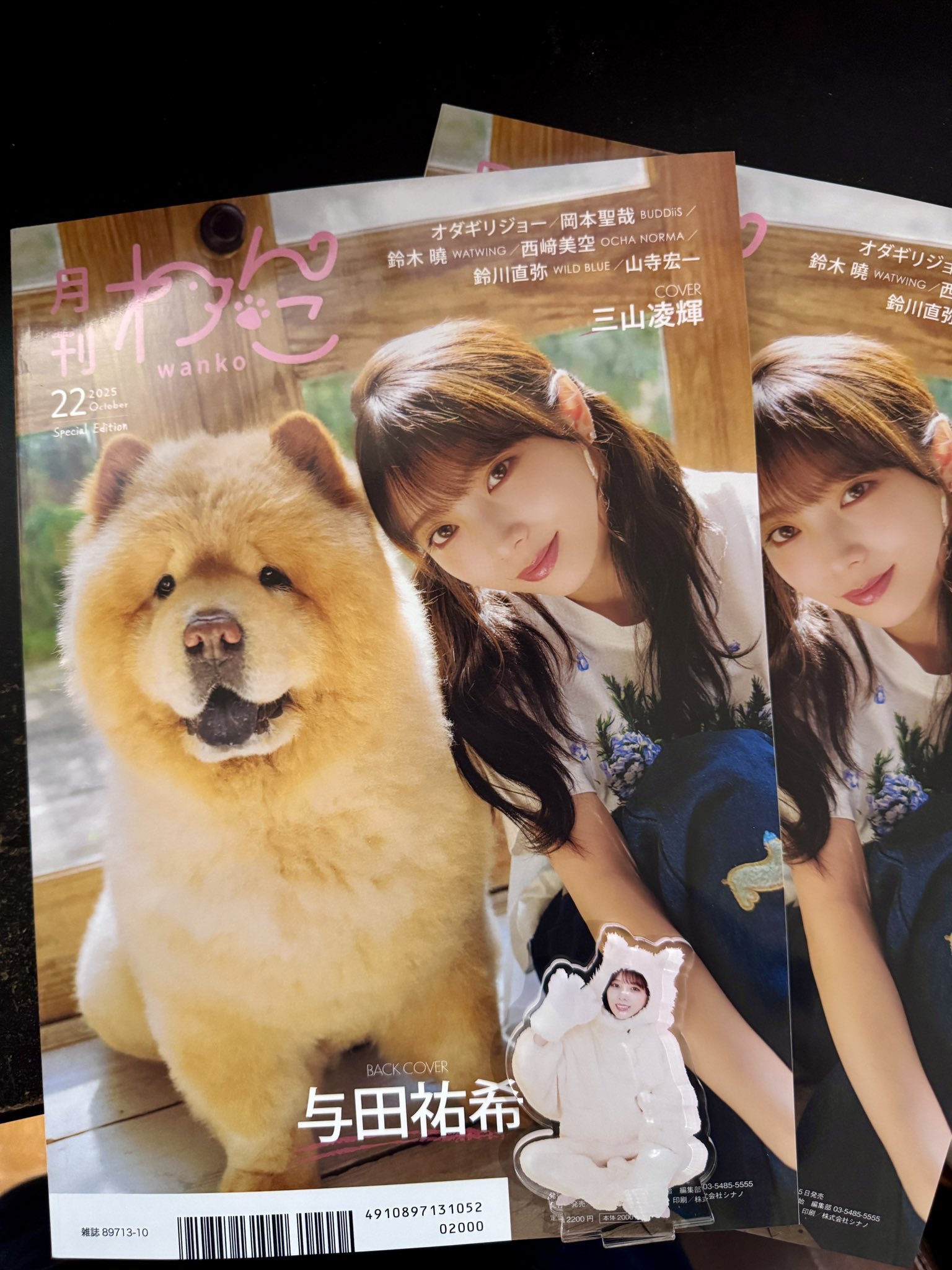 岡尾真虎 りるパンダ 新品 NEWS | LIL LEAGUE(リル リーグ) オフィシャルサイト