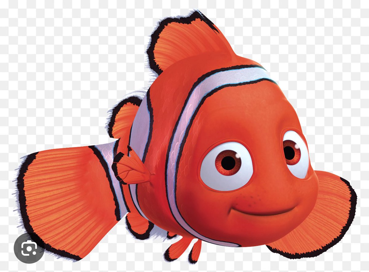 WKC09's tweet image. Pitt Football 'Sharks'