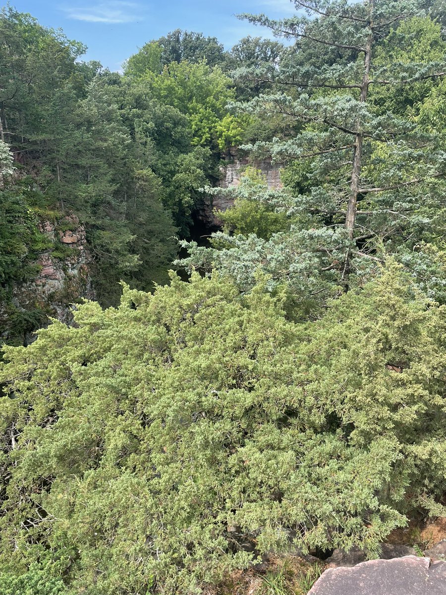 don't forget how bad life isnt