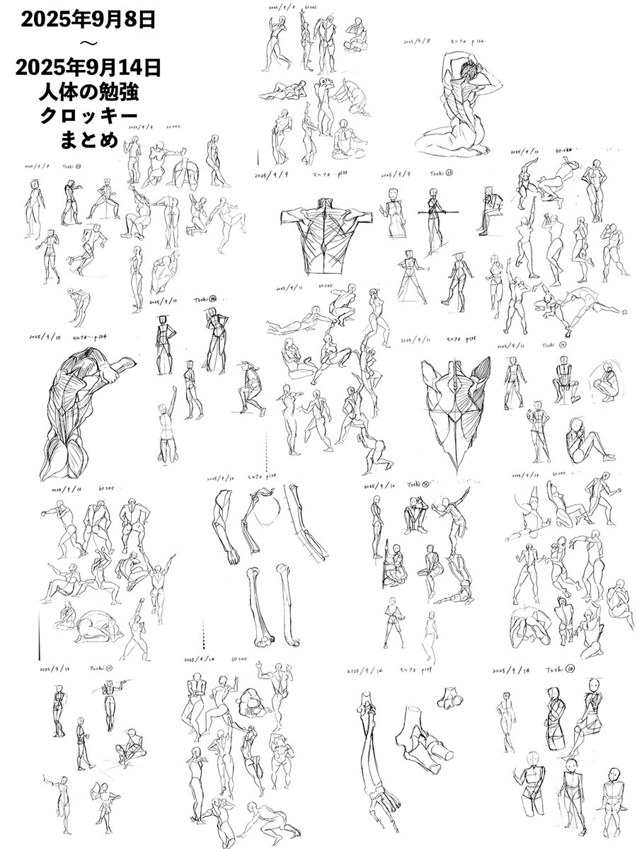 ◇手描きイラスト◇ おまとめページ しのぶん🌸イラストなど on X: 