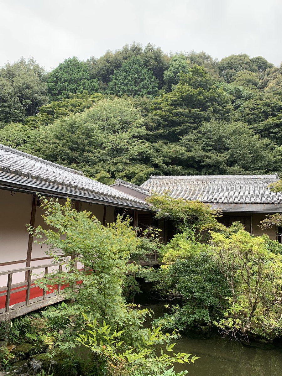 曇り空、秋は駆け足で？
#実相院　#床もみじ