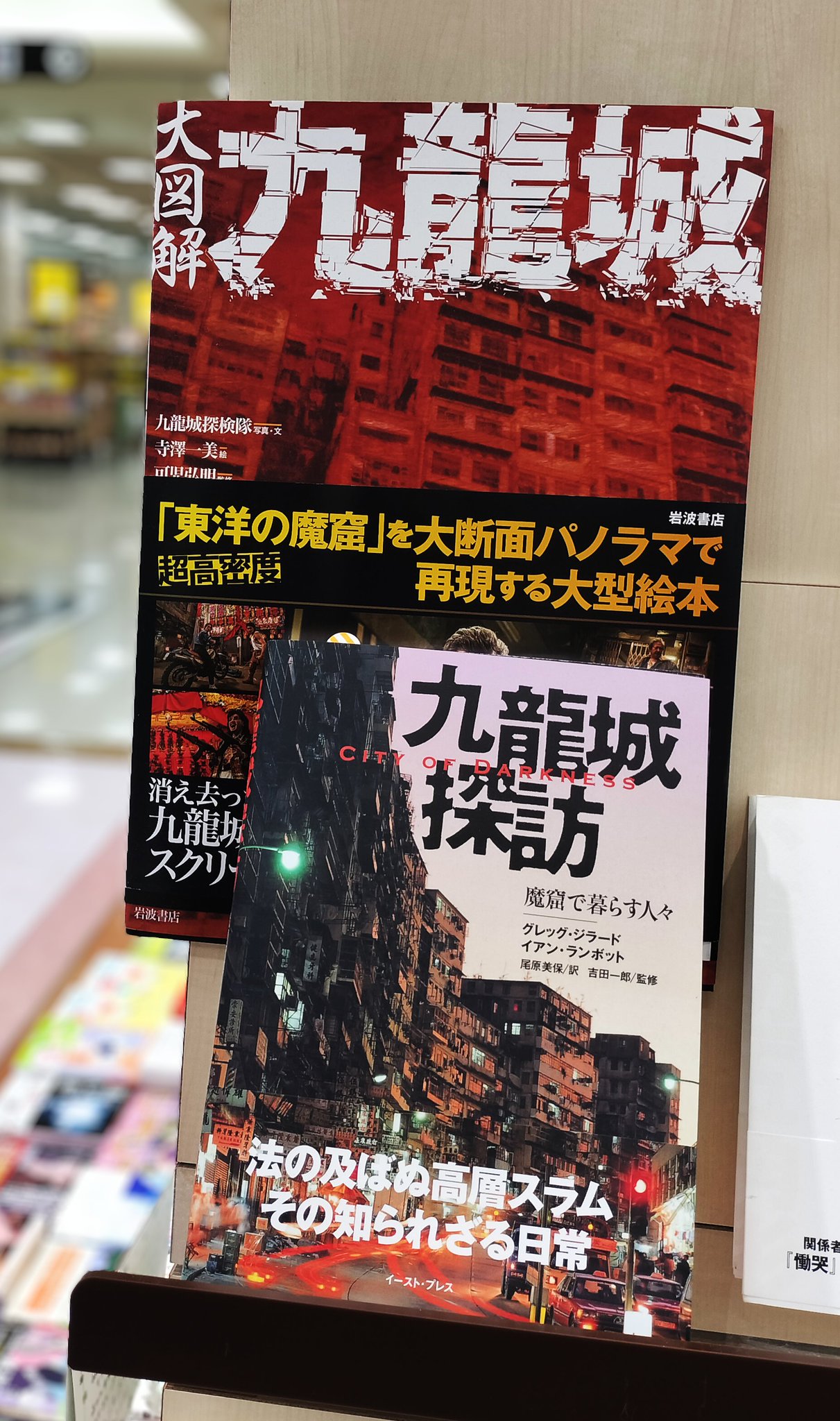 PC 未開封 クーロンズリゾーム Kowloon's Rhizome クーロンズリゾームDL版【PC】 - クーロン商場 - BOOTH
