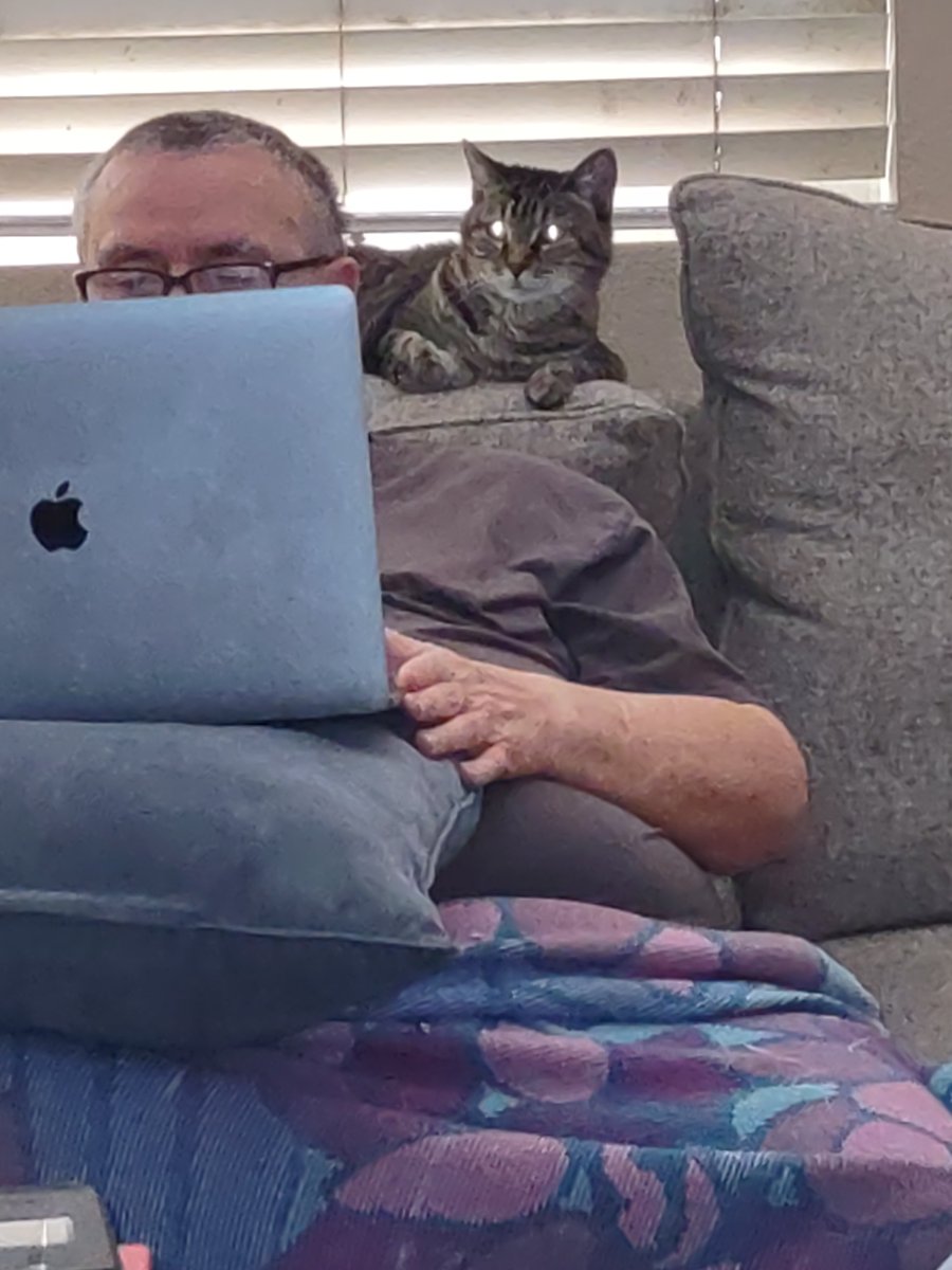 My cat Bitty finds my new book manuscript utterly mesmerizing!

That's a good sign.