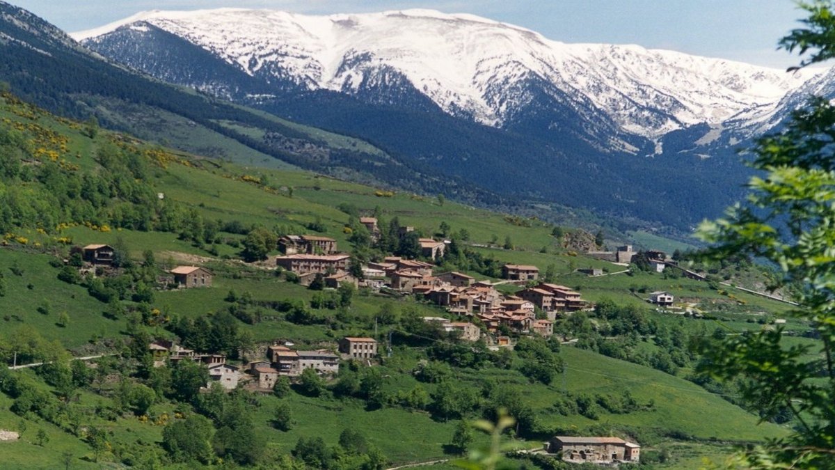 Sònia Vaquer tweet media