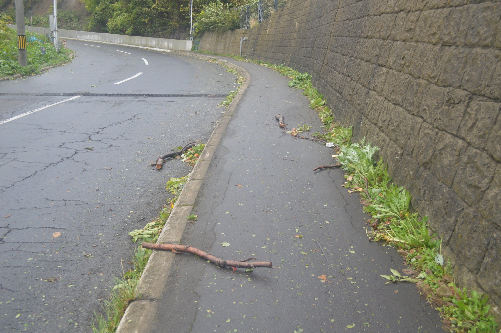 知床　残された神の土地 But there is a mysterious road] The mysterious road and the