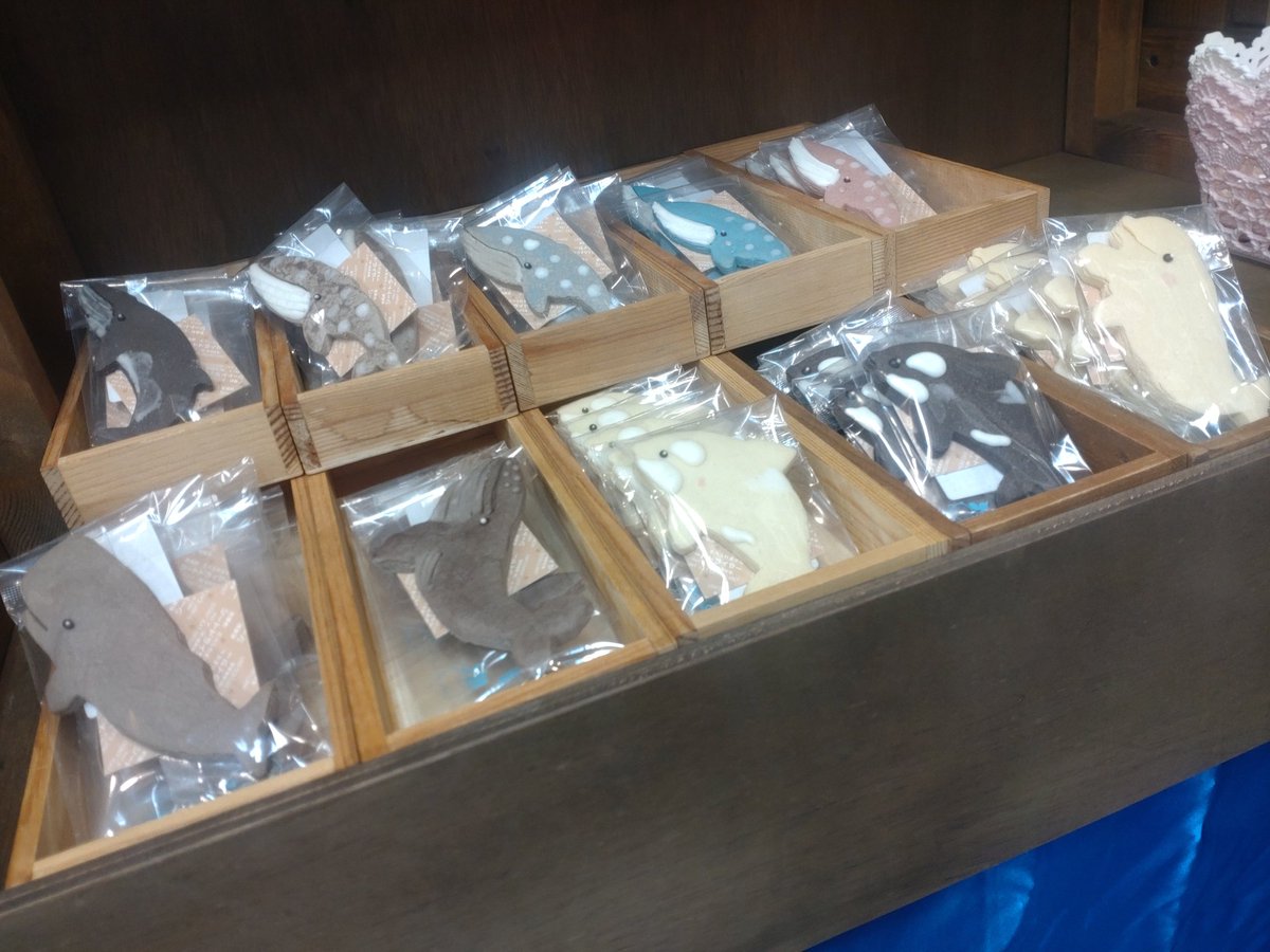 【くじらまみれ作品紹介📣✨】
＃くじらまみれ2025　#くじらの博物館
くじらまみれ🐳2日目開催中🎉
本日からご参加のいきものクッキーアートkurimaro collectionさんの作品🍪型からオリジナルで作成されているこだわりの作品たち。食べるのがもったいないくらい、かわいいイルカやクジラが大集合です🐬