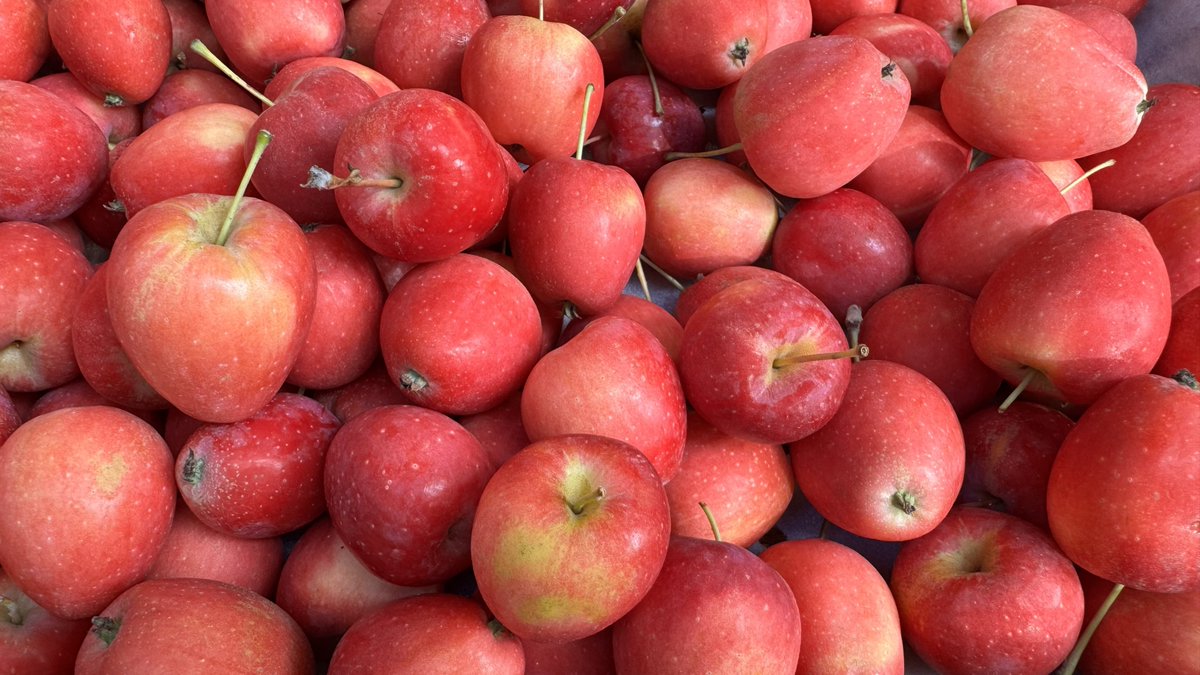 Macao Old Friend 濠江舊侶: \, image size:1200x675