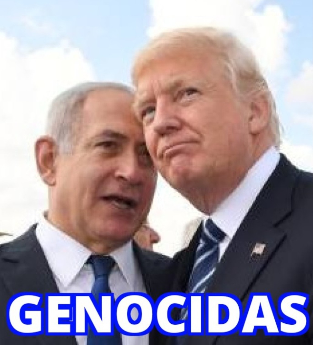 ¿Quién más amplifica?