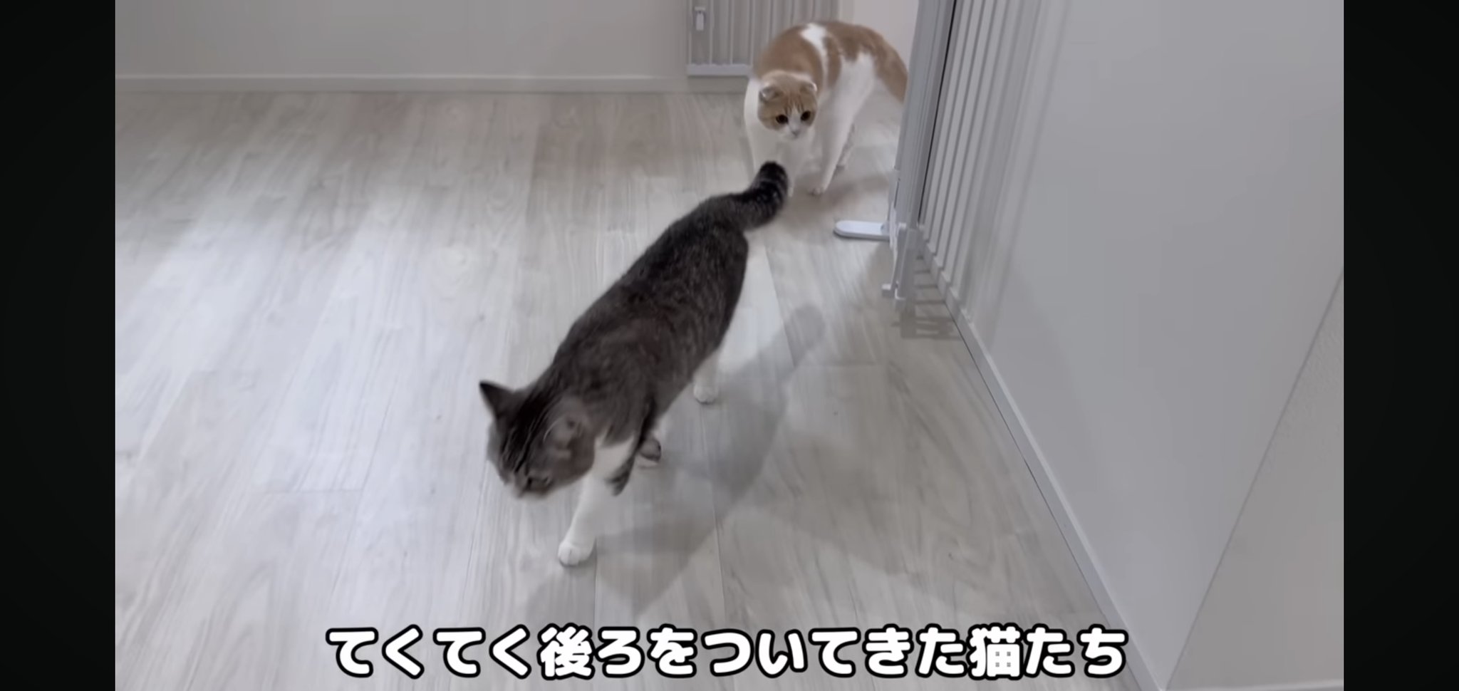 まもち 様 おまとめ♡ mqdefault.jpg