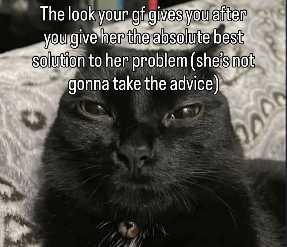 LiterallyMeCats (@literallymecats) on Twitter photo 