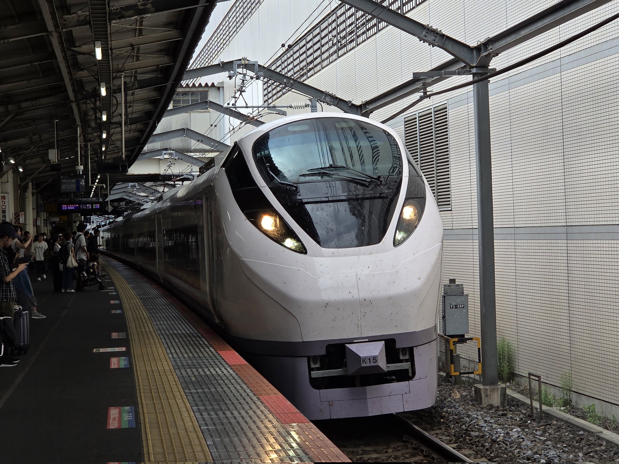 【超希少 当時物】ワッペン列車 奥多摩もみじ号 車両 プレート 美品 超希少 当時物】ワッペン列車 奥多摩もみじ号 車両 プレート 美