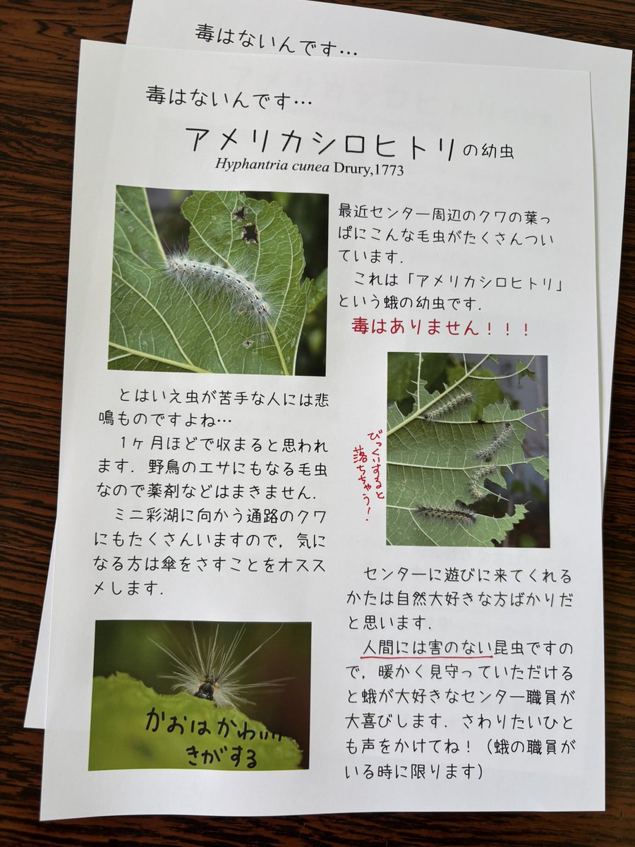 みなさん大騒ぎなのでこれを貼った
蛾の職員てなんだよ