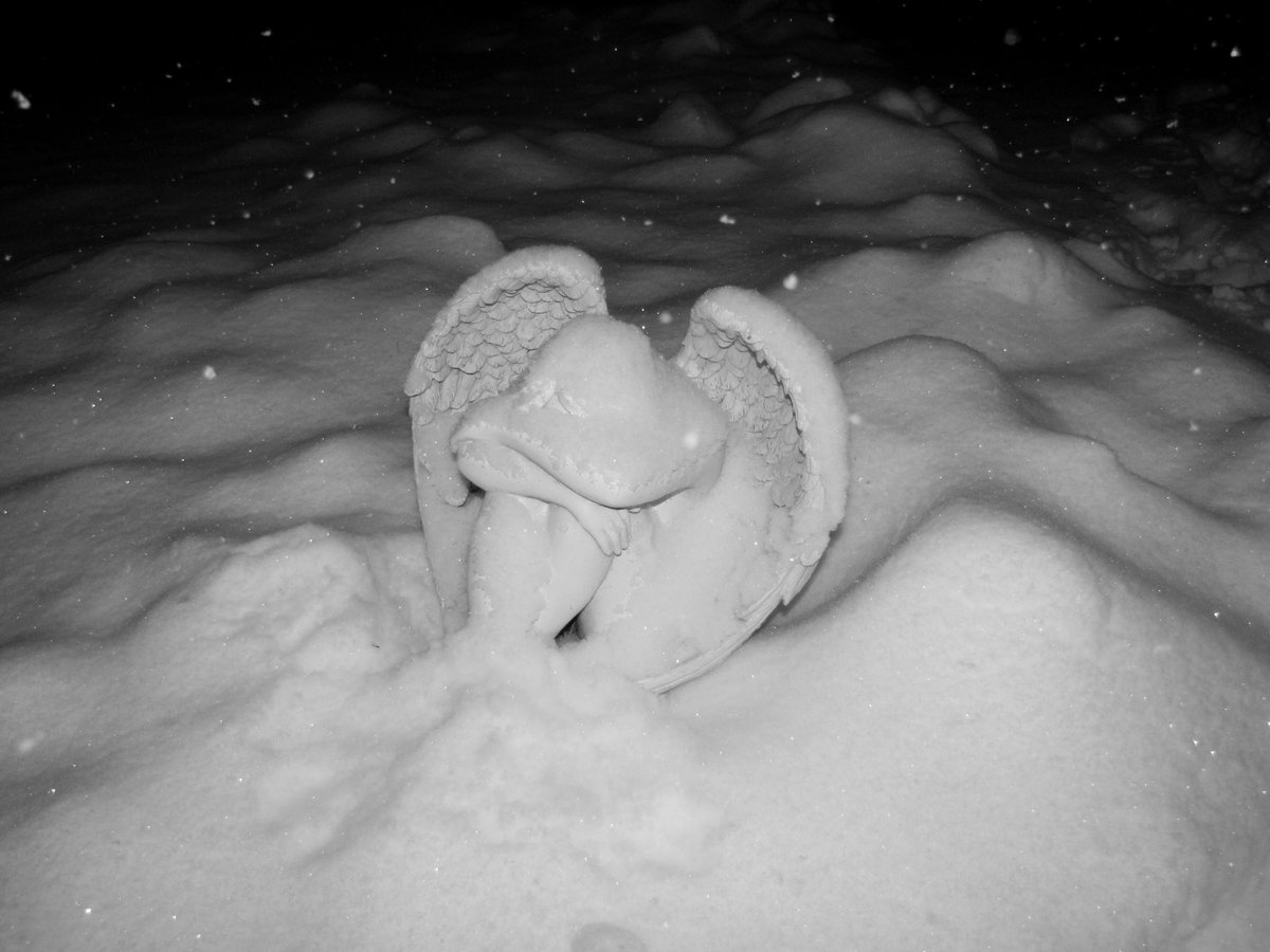 dark everything (@drkevrythng) on Twitter photo 