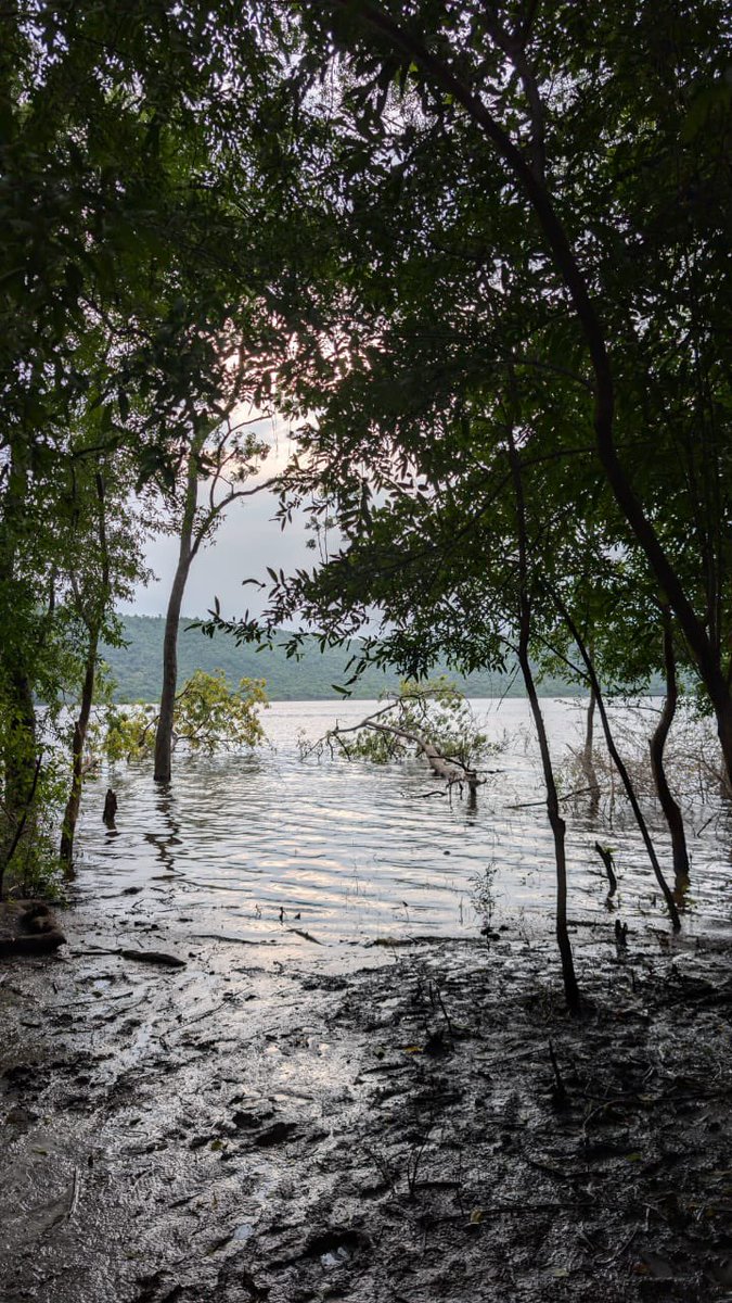 rach_aha's tweet photo. #Lonar, India’s largest crater lake, is finally a doable 5-hour escape from Mumbai — hidden gem no more. https://t.co/RSG10vnOTo