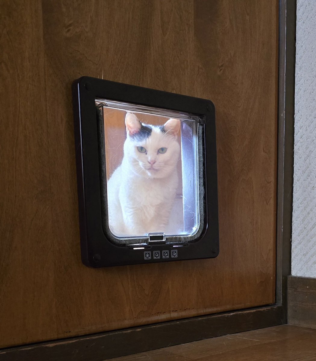 飼い主監視👀タイム