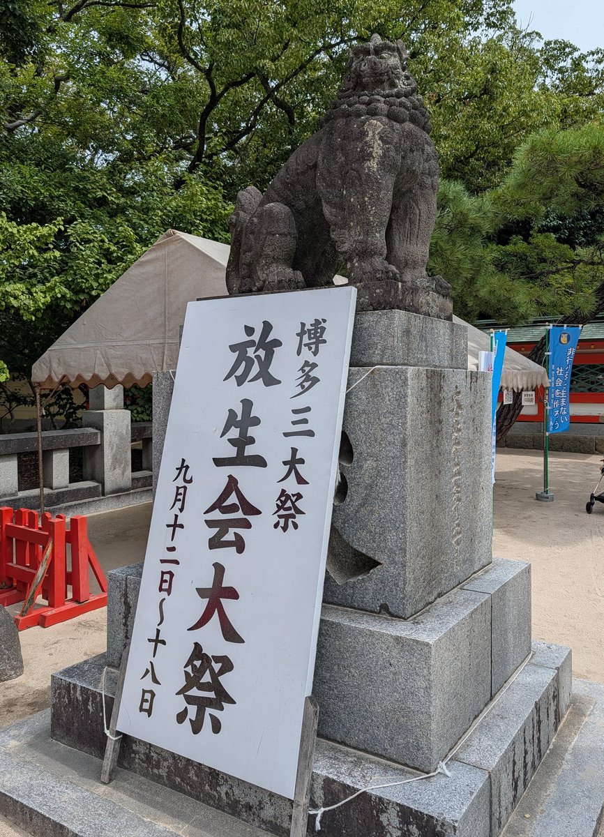 ☆ 福岡市東区 博多三大祭のひとつ「放生会大祭」。 「放生会