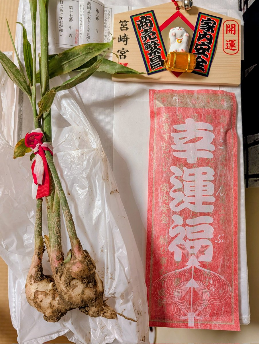 ☆ 福岡市東区 博多三大祭のひとつ「放生会大祭」。 「放生会