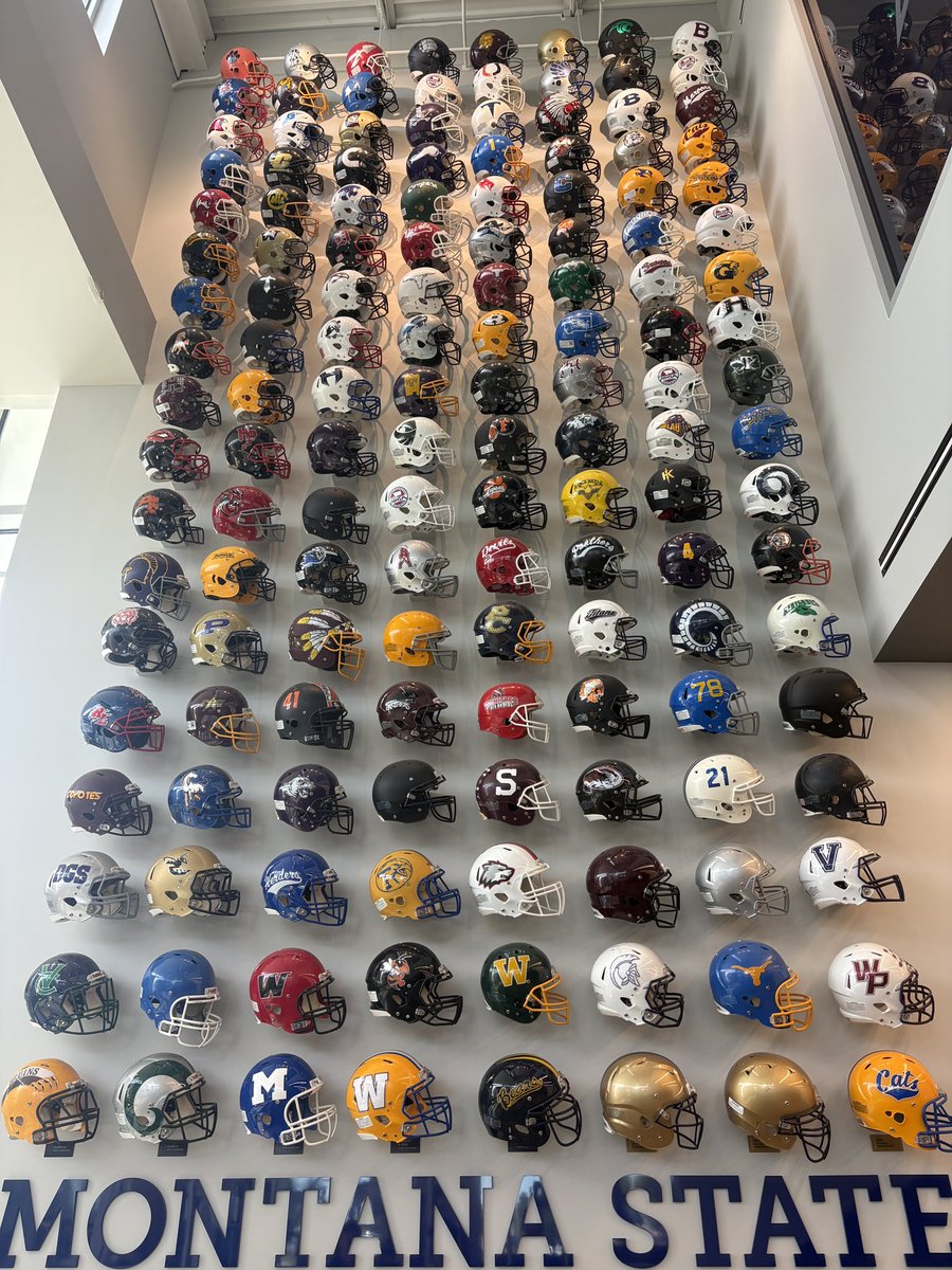 Brock Peace tweet media