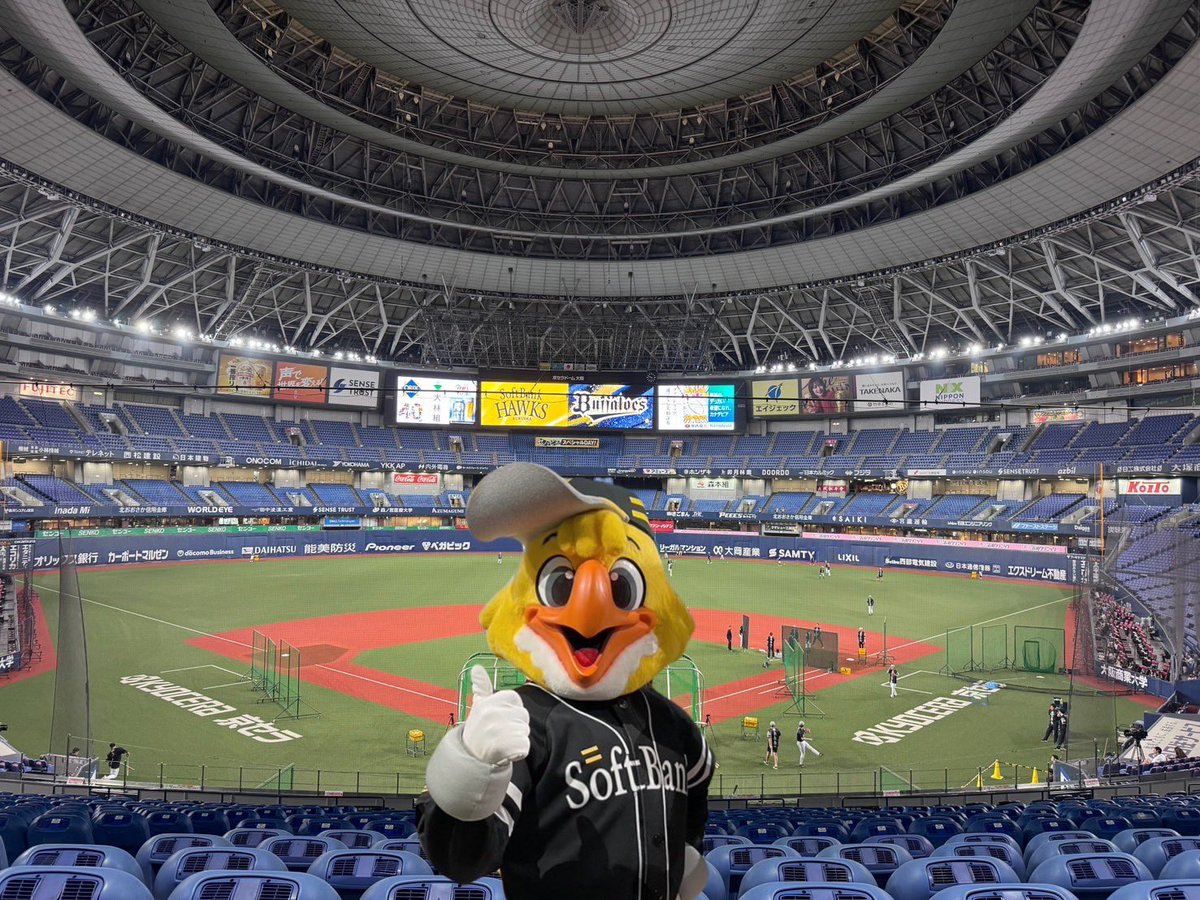 ビジター応援デーin大阪 今シーズン、最後のビジター応援デー！！ 絶対