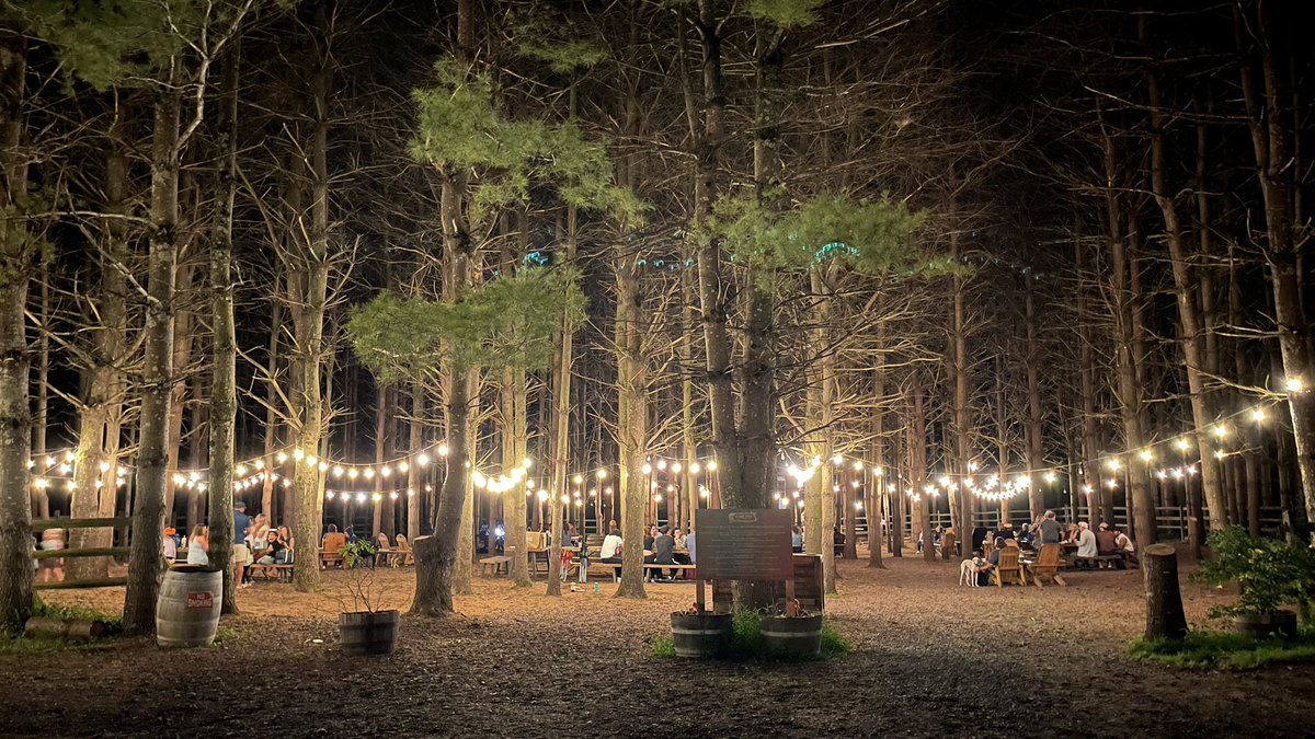 Geoff Wilt tweet media