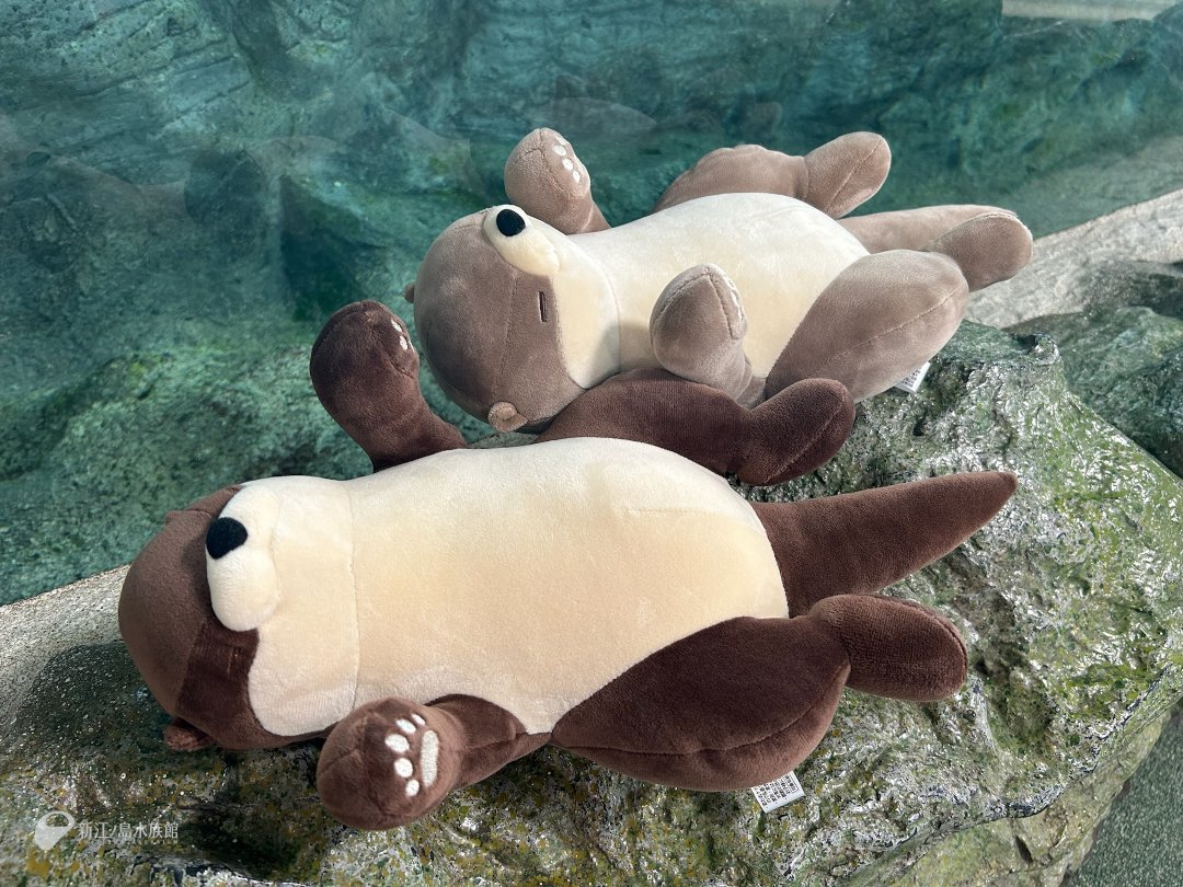 新江ノ島水族館 on X