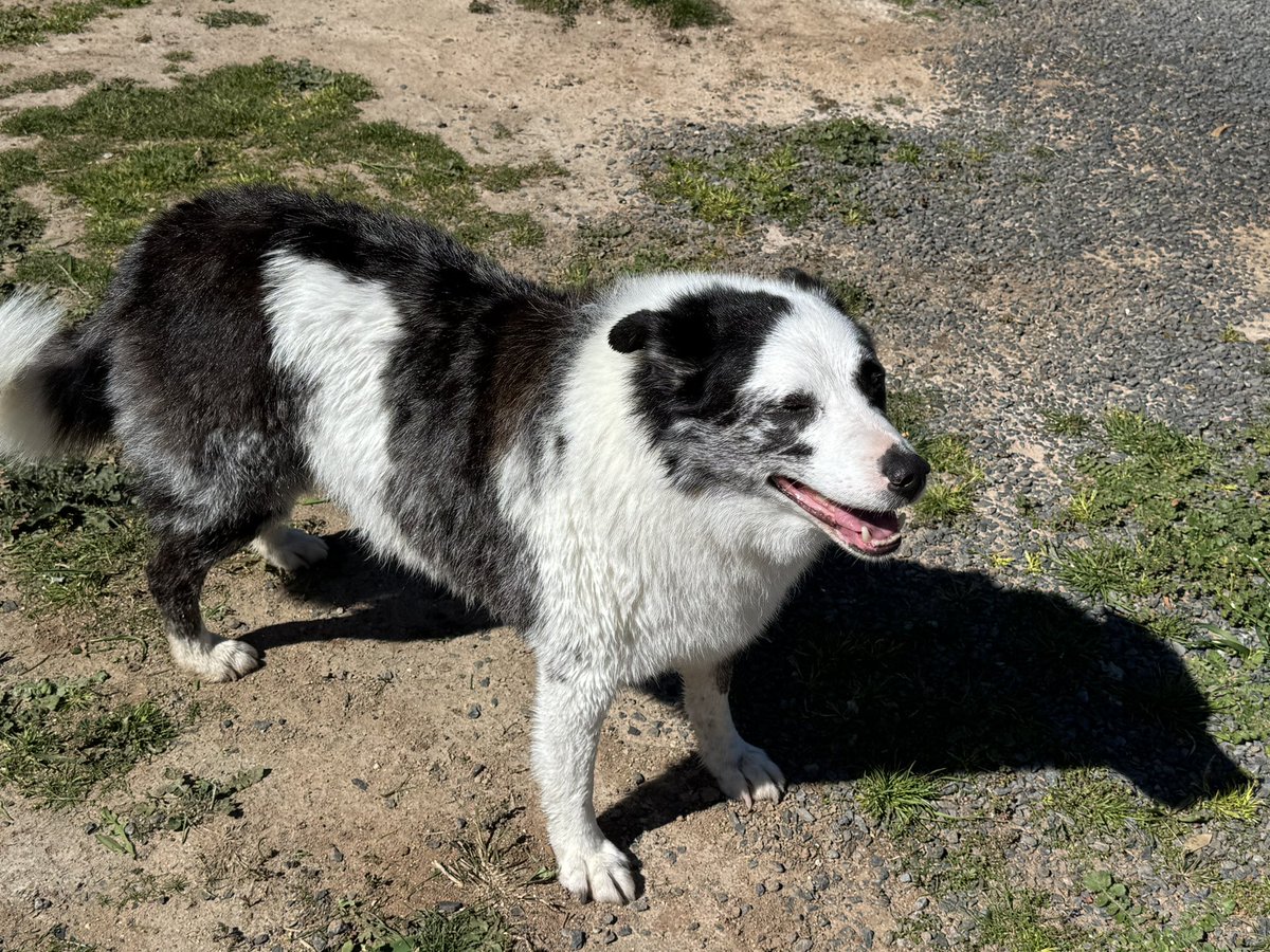 Just spent forever bathing Trip.