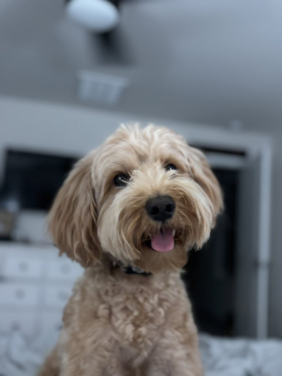 Collyn Taylor tweet media