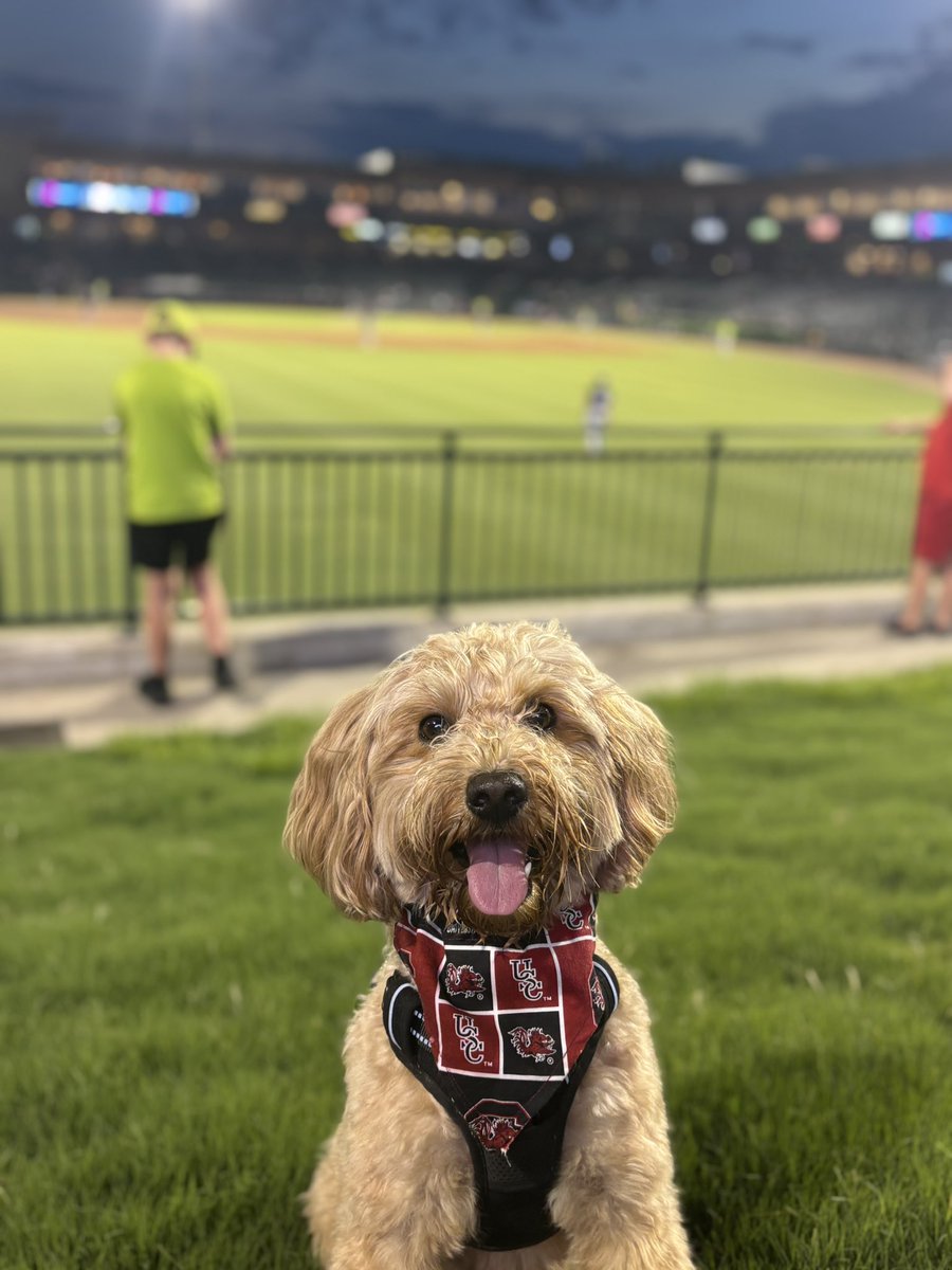 Collyn Taylor tweet media