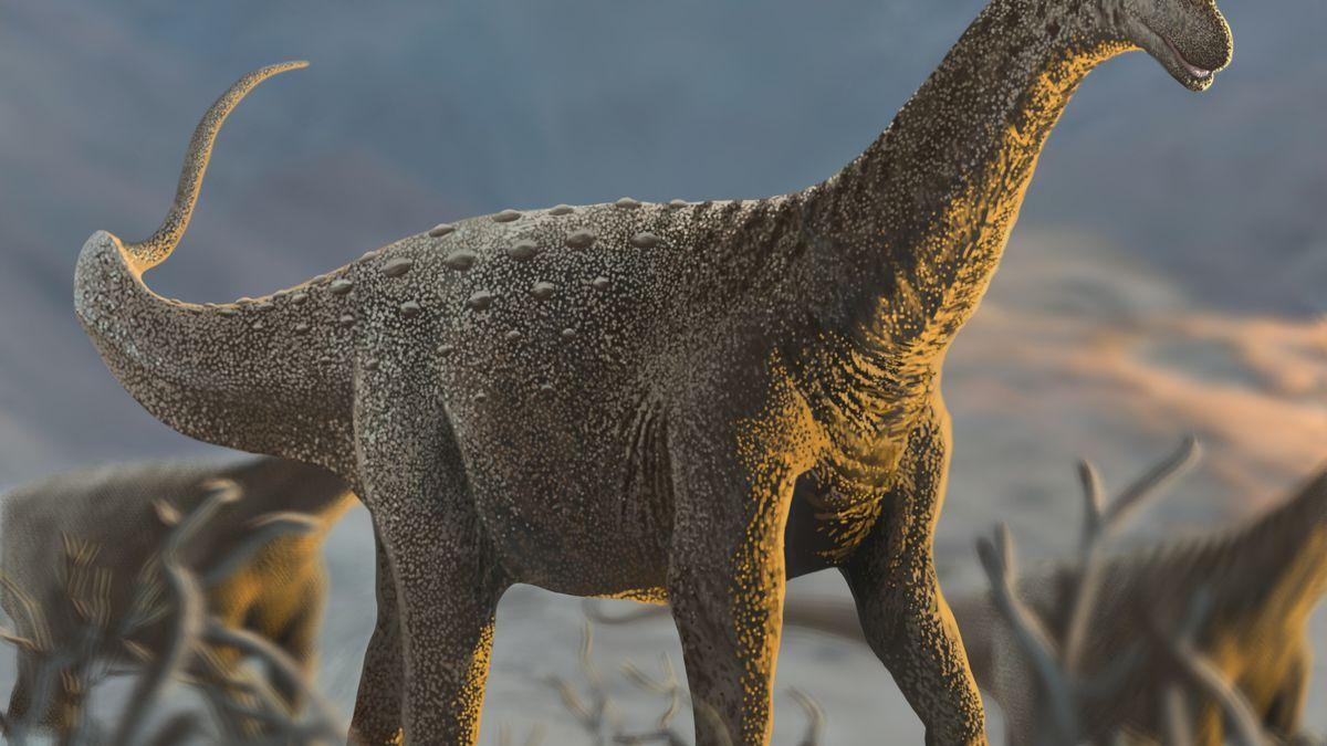 Fósseis mostram que dinossauros gigantes foram afetados por doença devastadora canaltech.com.br/ciencia/fossei…