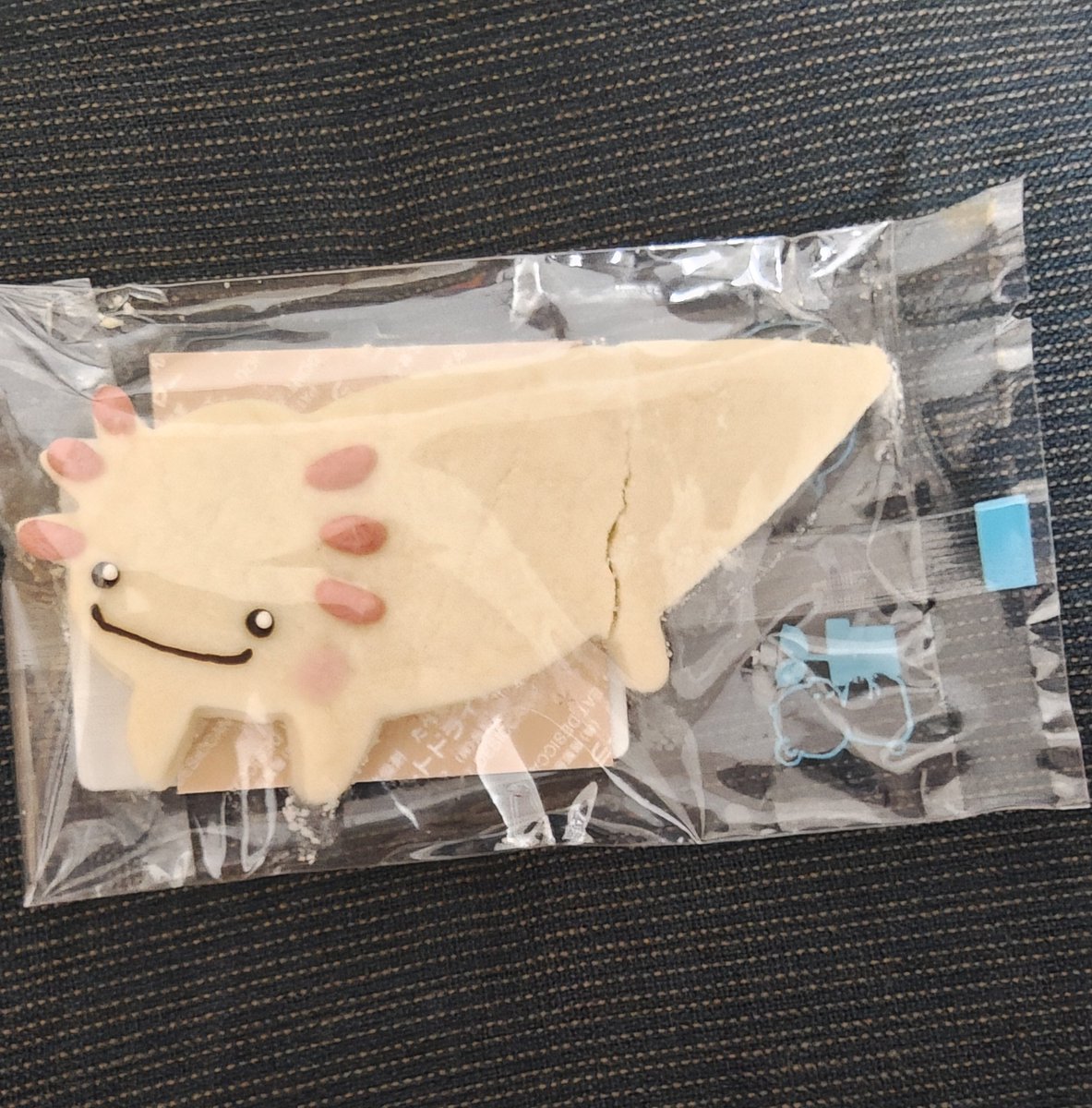 動物学会で買ってきたウーパールーパークッキー。ちょっと割れちゃったけど、可愛くて食べられない