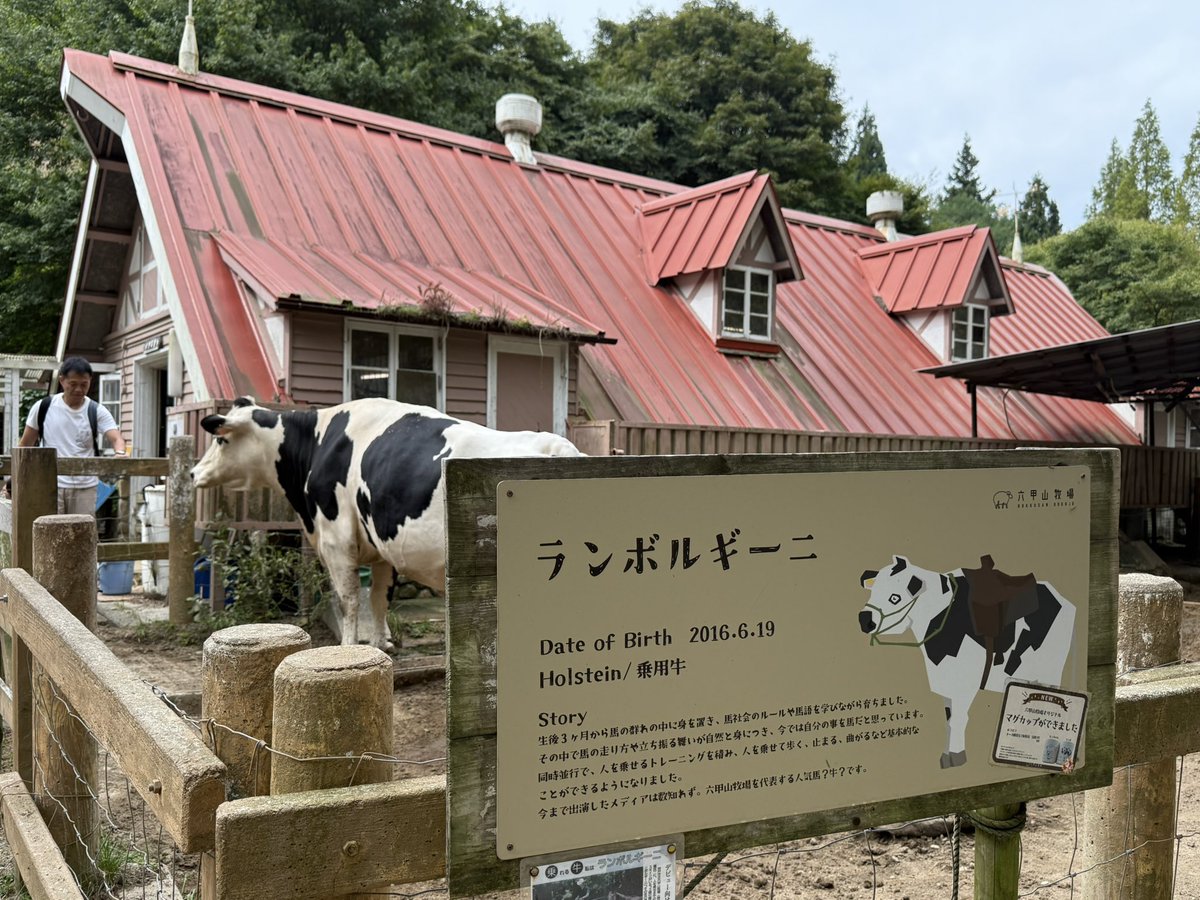 よねくら (@kohhip_ou) on Twitter photo 