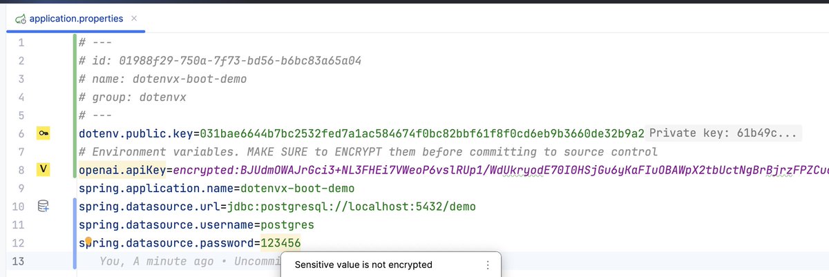 linux_china's tweet image. Dotenvx JetBrains plugin adds intention actions, gutter icon, inspections for Spring Boot application. properties