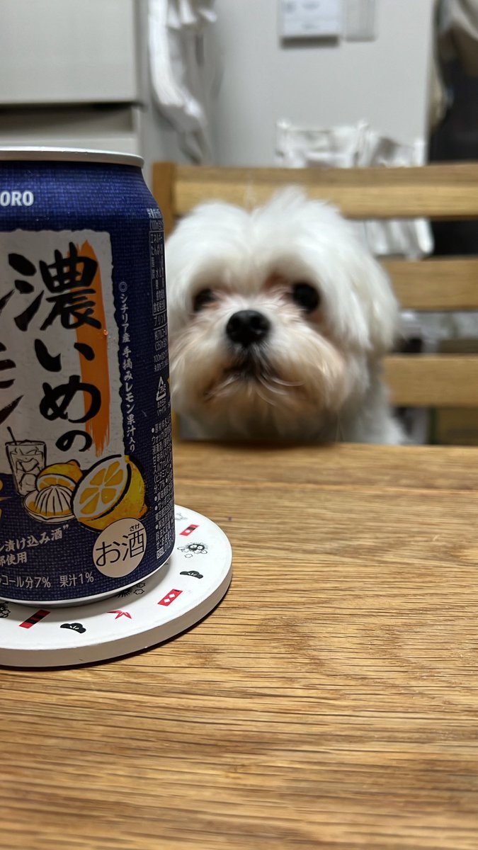 r_e_o_k_u_n_777's tweet image. もーすぐオフ会だからこっちで珍しくツイートしてみりゅ