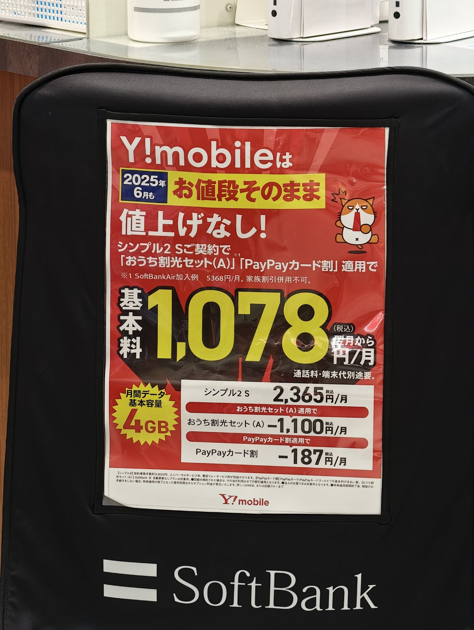 今年もアオバズク来る❢ 2024.6.2 PLせつな ＠ﾄﾞﾜ 都営バス資料館 on X: 
