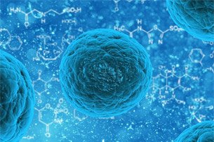 El 13 de septiembre se celebra el Día de Mundial de la Sepsis, una fecha que se creó para concienciar sobre la importancia de conocer esta enfermedad, muy frecuente pero bastante desconocida