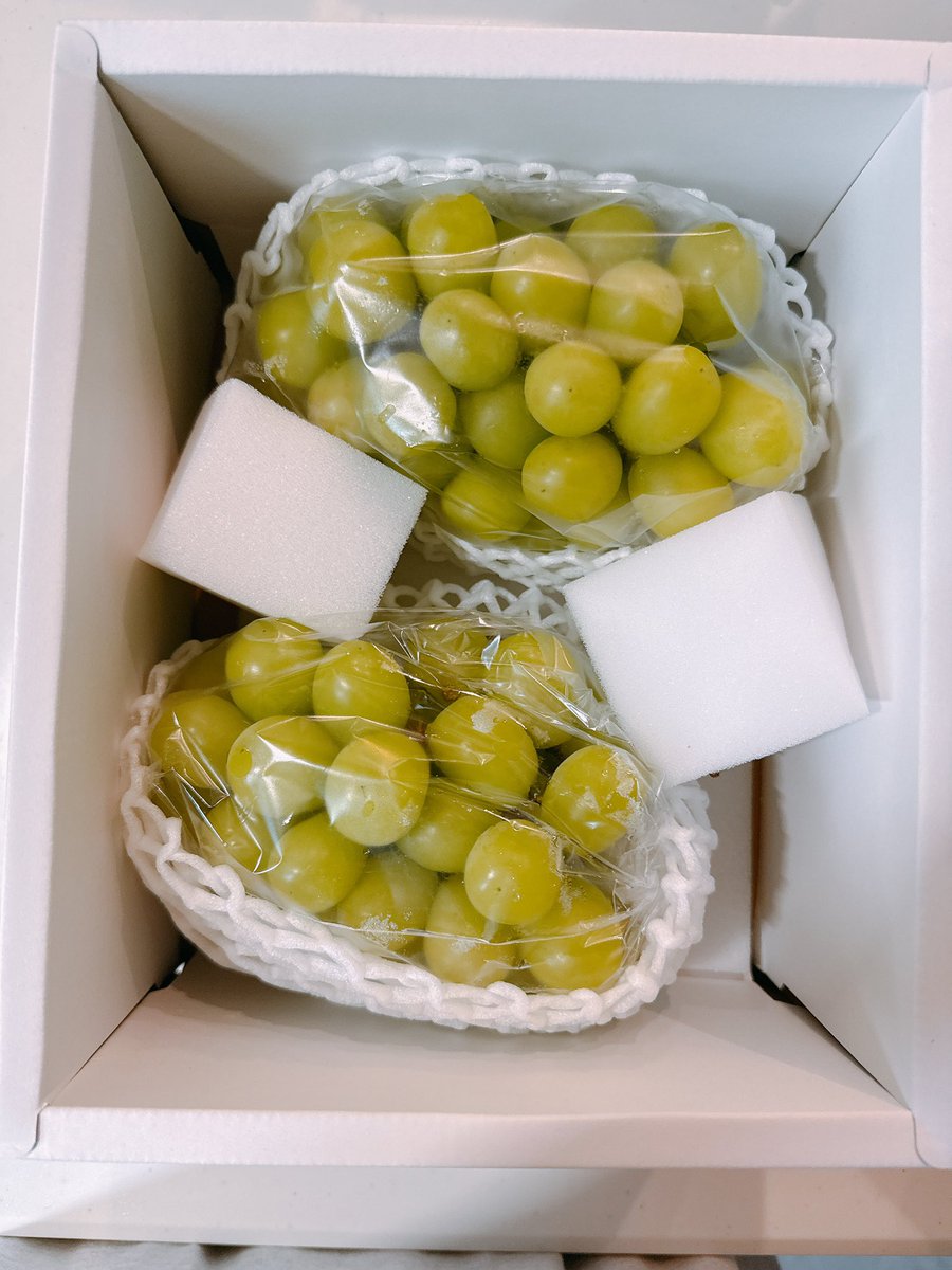 ぽんた　様 楽天市場】ポンタタ 財布 がま口 pomtata 二つ折り財布 ミニ財布