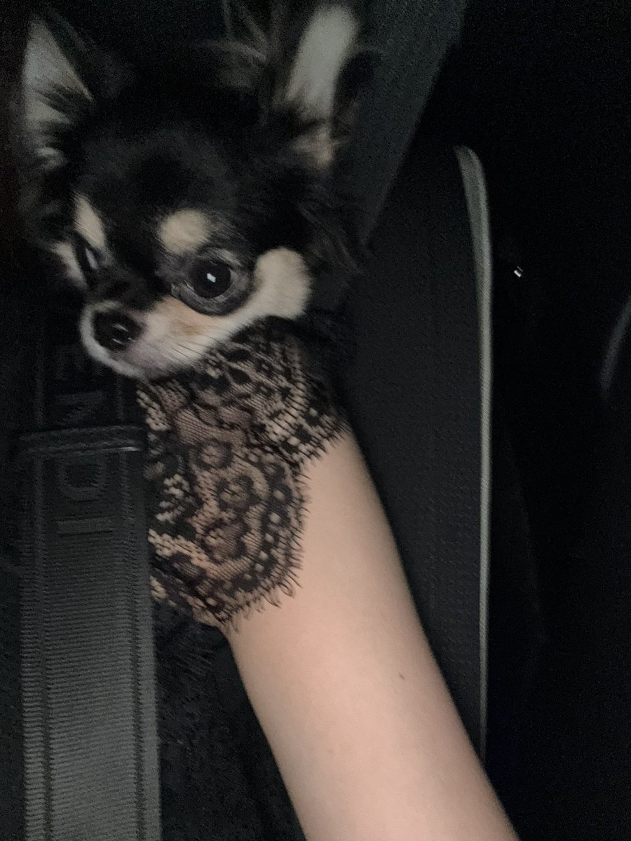 ⿻へらちゃむ🔪ぱちすろ演者になりたい tweet media