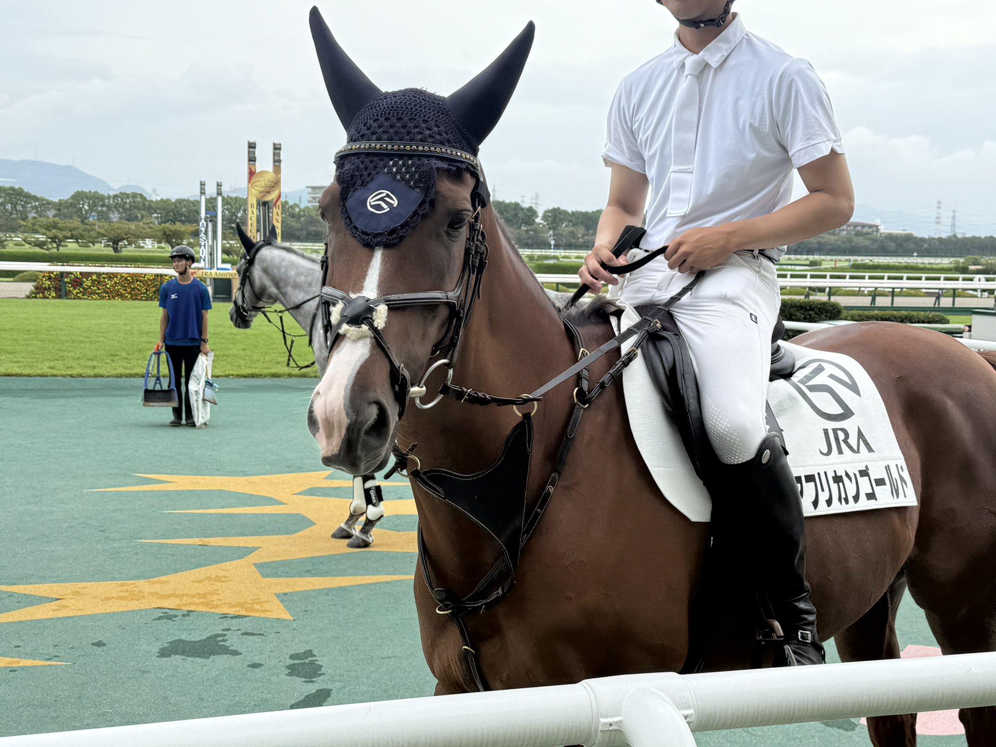 ゴルたん🐎 (@goldgold_ship) / X