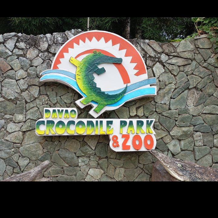 idk how feel sa croco park and zoo. na amaze ko kay nakakita ko ug exotic wildlife pero nganu in such a sad condition man nia. 🐢🐊🐍🐈‍⬛🦘🦛🐅🦍🦧🦔🐦‍⬛🐦

#zoo #croco